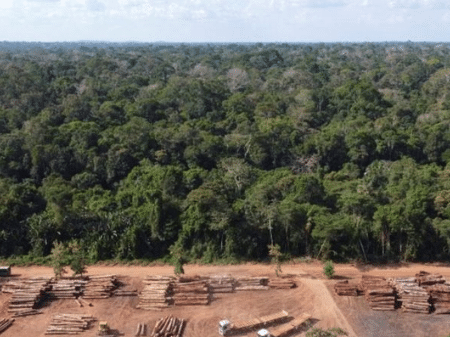 COP26: o que Brasil vai prometer e exigir na conferência sobre o clima