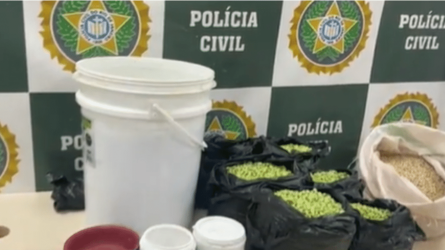 Suspeito pintava o feijão fradinho para vendê-lo por valor bem mais alto  - Reprodução/TV Globo