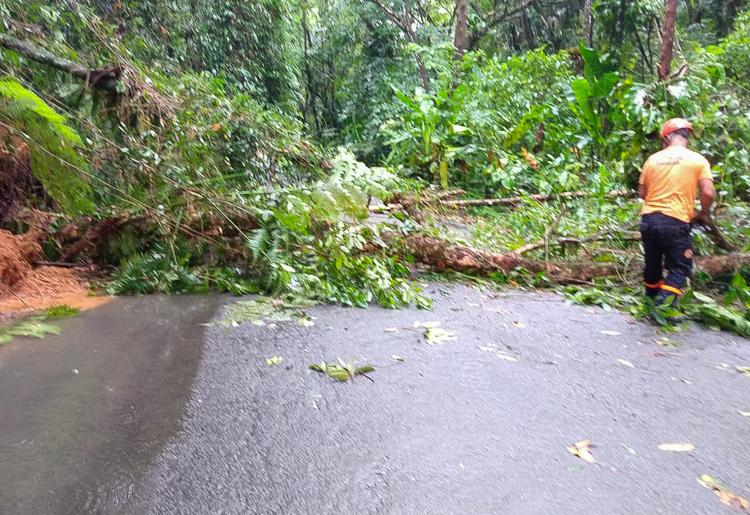 Árvore caída em estrada após chuvas em Ubatuba: cidade também tenta não fechar a temporada no zero - 19.fev.2023 -  Governo do Estado SP - 19.fev.2023 -  Governo do Estado SP