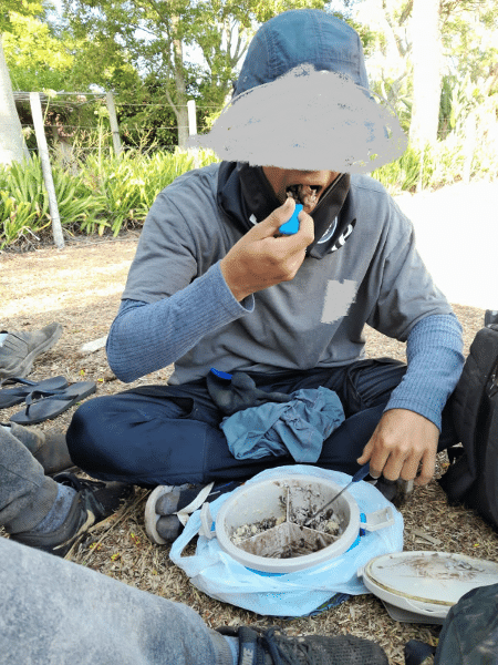 11.mar.2023 - Adolescente resgatado por trabalho escravo em Uruguaiana - Divulgação/MPT