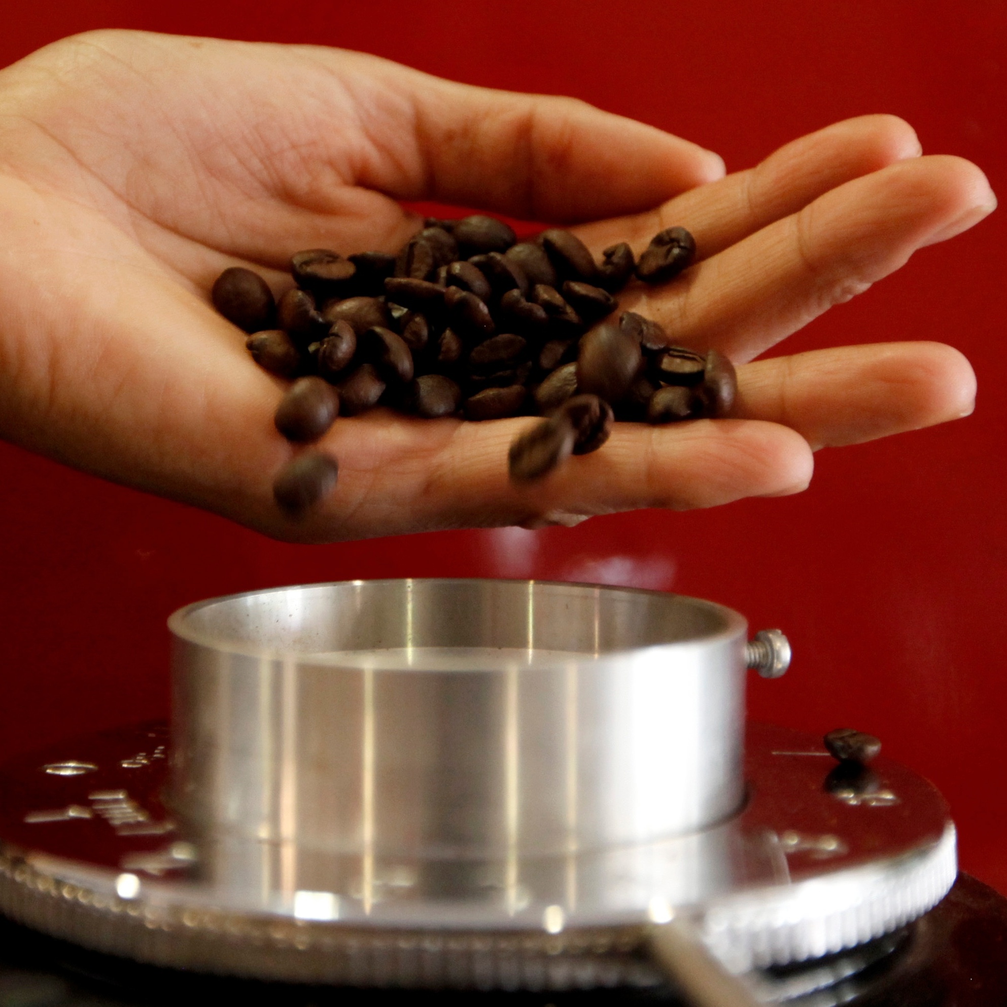 cafe-1738927027935_v2_1x1.jpg