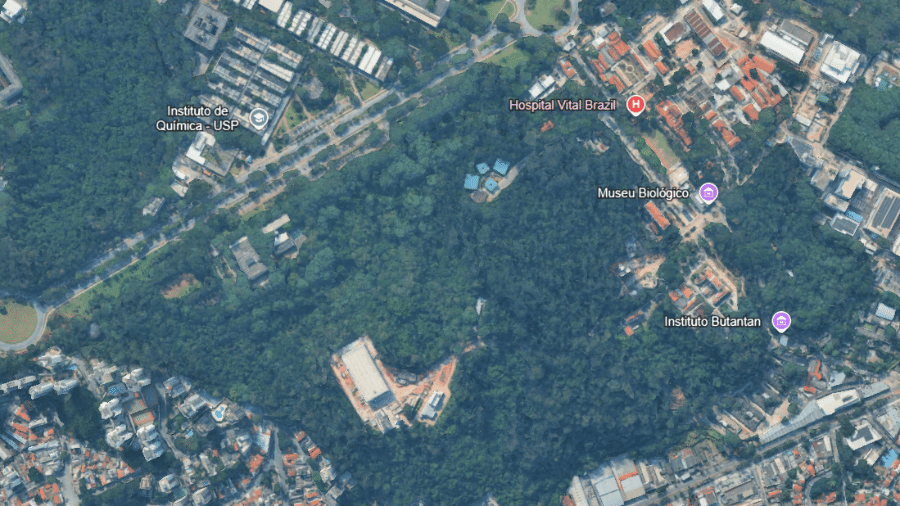 Vista aérea do Instituto Butantan, na zona oeste de São Paulo - Reprodução/Google Earth