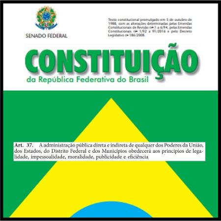 Capa da Constituição da República Federativa do Brasil - Montagem/Reprodução