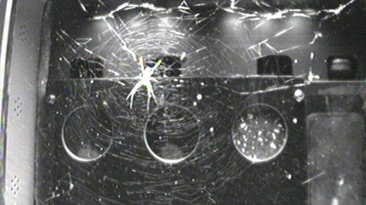 Aranhas já viveram no espaço como parte de um experimento na ISS Aranhas já viveram no espaço como parte de um experimento na ISS