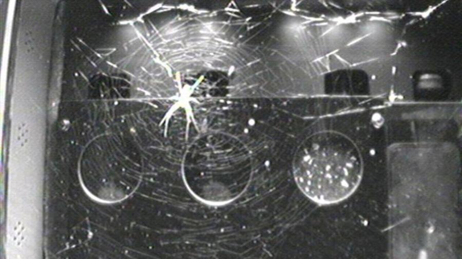 Aranhas já viveram no espaço como parte de um experimento na ISS - Divulgação/Bioserve