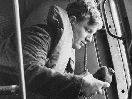 Pombo-correio se preparando para ser lançado de avião em 1941 - Getty