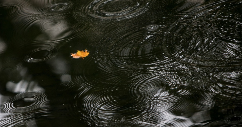 08.out.2015 - Folha amarela flutua na água do rio Dussel, em Duesseldorf, na Alemanha