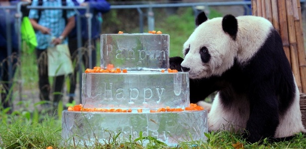 O panda Pan Pan comemorou 30 anos em 21 de setembro de 2015 - AFP 