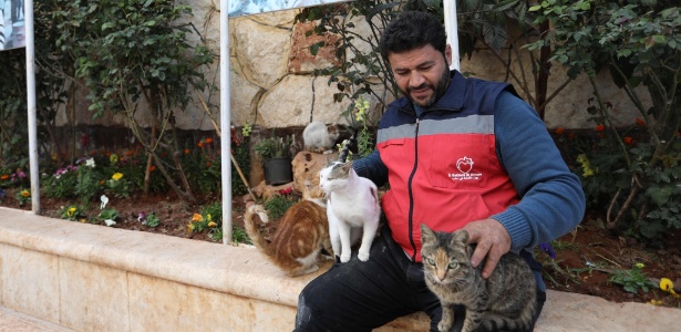 Mohammed Alaa al-Jaleel cuida de gatos no Santuário dos Gatos Ernesto em Kfar Naha, perto de Aleppo, na Síria - Omar Haj Kadour/AFP