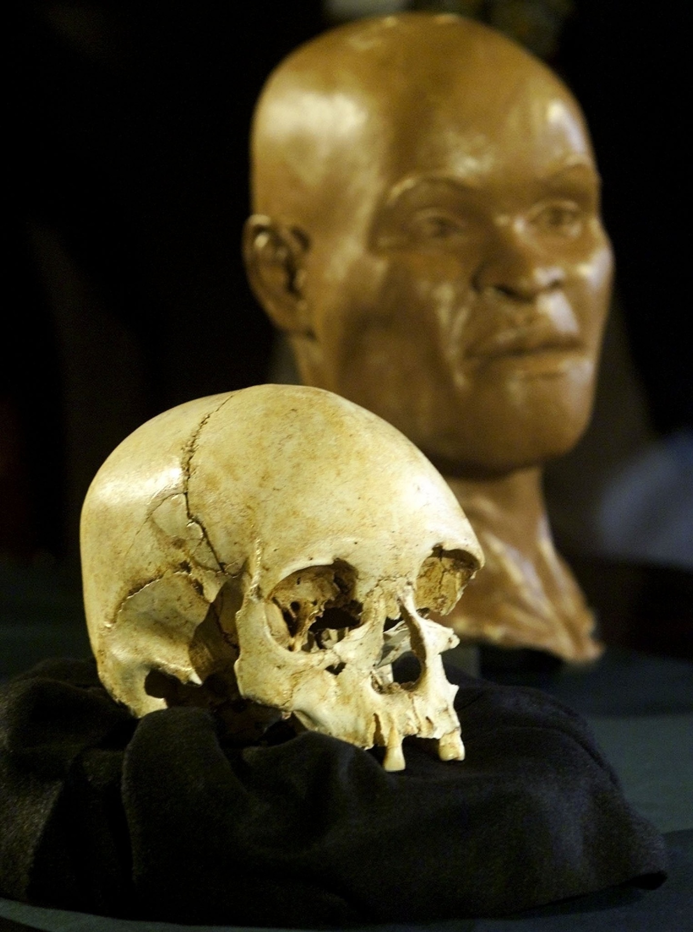 Reconstituição do rosto de Luzia, feita a partir do fóssil considerado o mais antigo de um ser humano nas Américas, apresentada no Museu Nacional, no Rio - Gregg Newton/Reuters