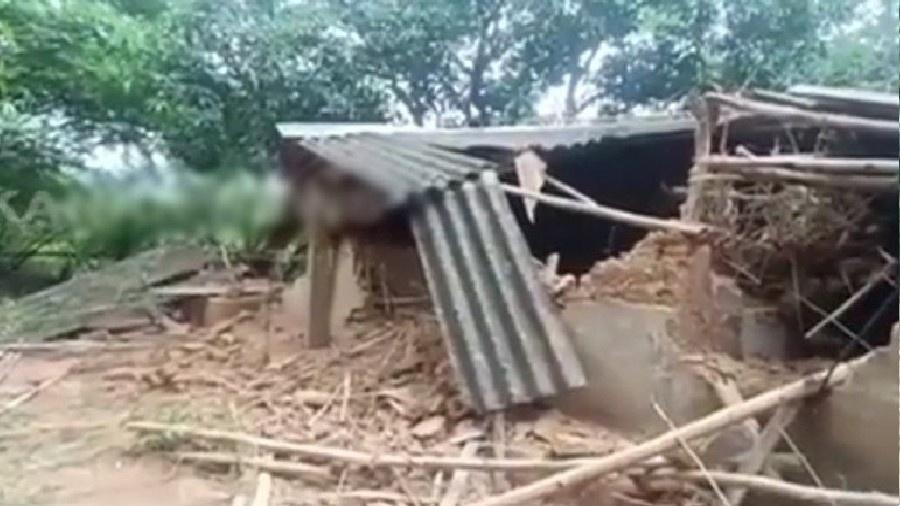 Manada de elefantes destruiu a casa de mulher que morreu atacada pelos mesmos animais - Reprodução/Twitter