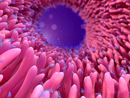Representação do RNA dentro do corpo humano - Getty Images\