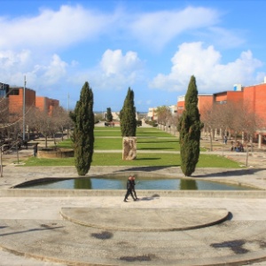 Reprodução/Facebook universidadedeaveiro Reprodução/Facebook universidadedeaveiro