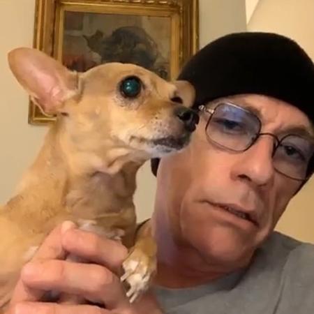 Van Damme salva cachorro Reya, vendido com passaporte falso, da eutanásia - Reprodução/Facebook