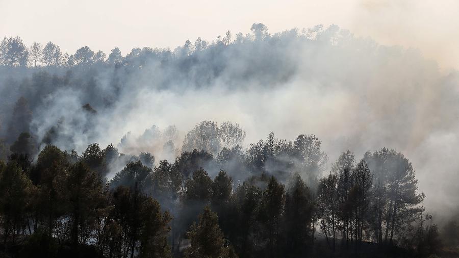 27.jun.2019 - Incêndio florestal na Catalunha, na Espanha, devora milhares de hectares de florestas - AFP