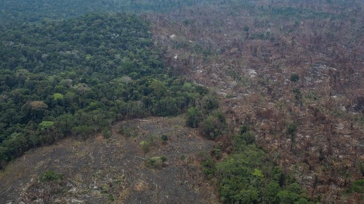 23.ago.2019 - Imagem aérea de queimadas na cidade de Altamira, no Pará - Victor Moriyama/Greenpeace