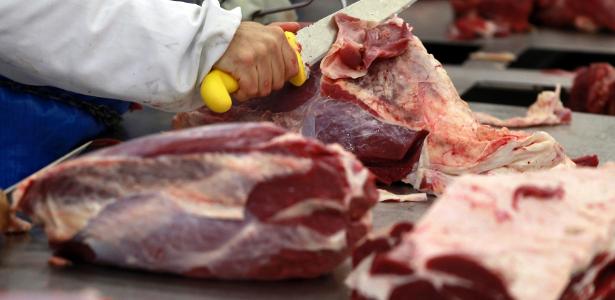 UE enviará ao Brasil pedido de informações sobre carnes exportadas