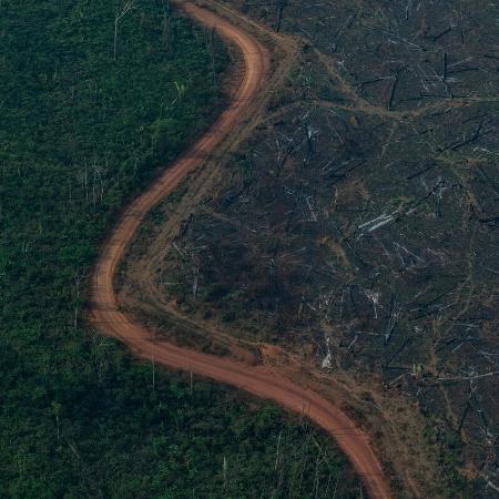 Vista aérea de desmatamento na Amazônia para expansão da pecuária, em Lábrea (AM)