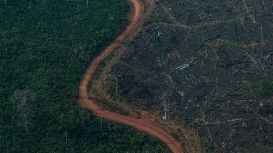 Vista aérea de desmatamento na Amazônia para expansão da pecuária, em Lábrea (AM) - Victor Moriyama/Amazônia em Chamas