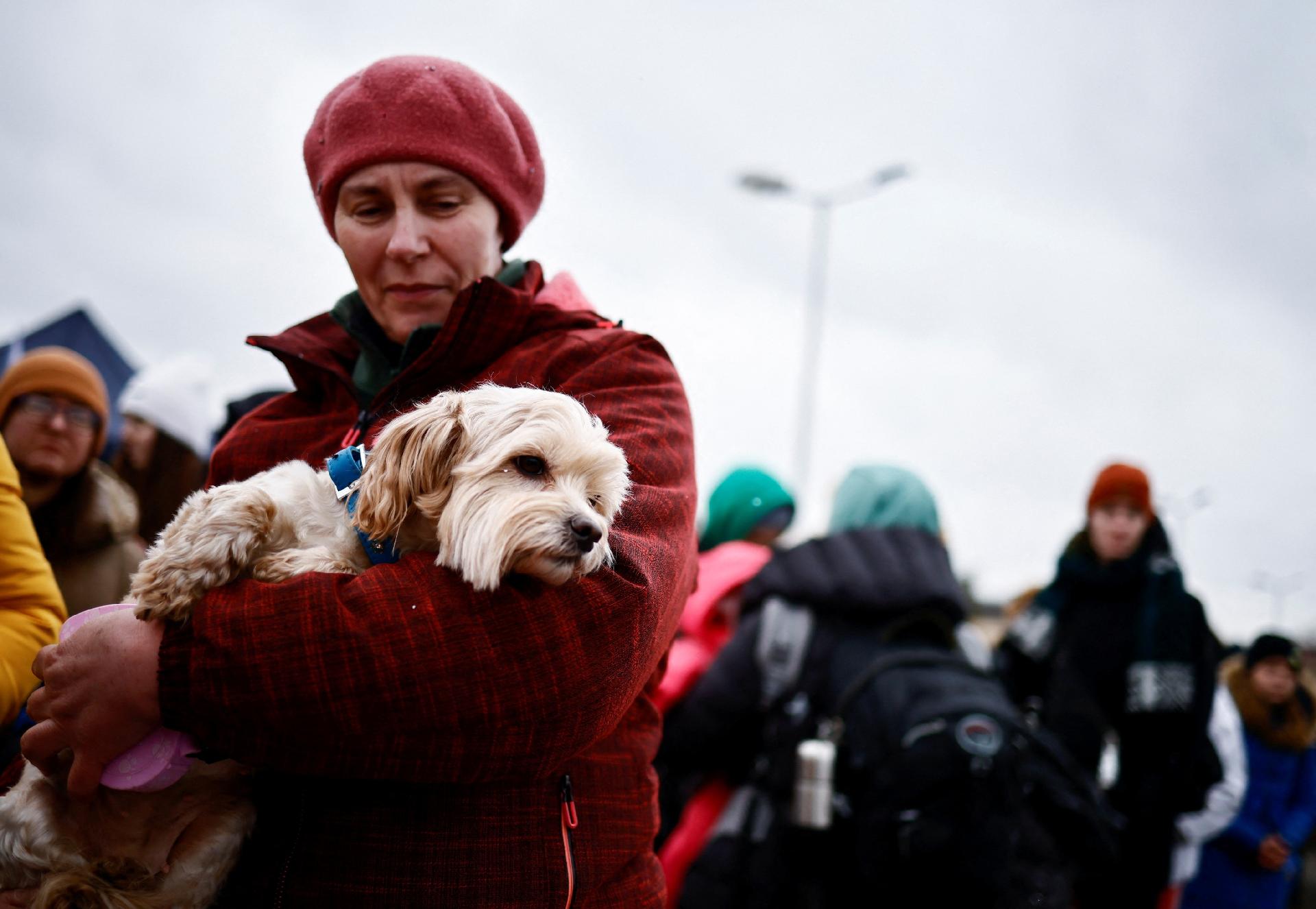 5.mar.2022 - Uma mulher segura seu cachorro após fugir da invasão russa da Ucrânia, no posto de fronteira em Medyka, na Polônia - YARA NARDI/REUTERS