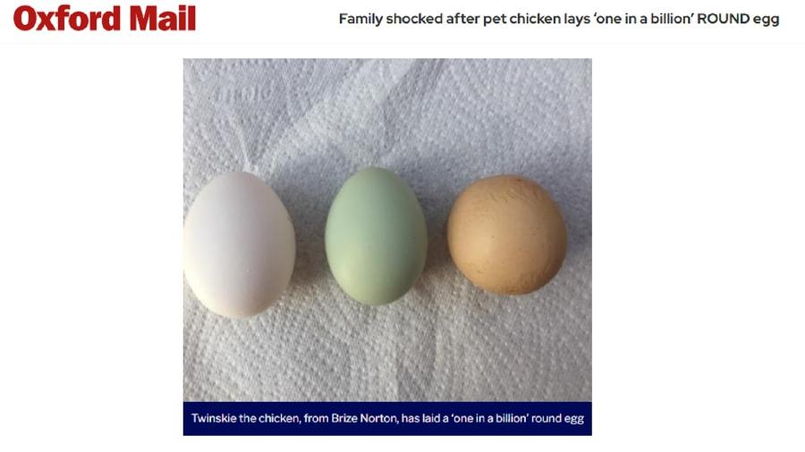 Imprensa internacional repercute ovo de galinha inusitado no Reino Unido - Reprodução/Oxford Mail