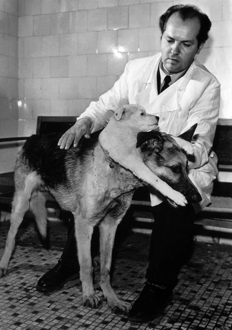 O professor Vladimir Petrovich Demikhov mostra um de seus cães de duas cabeças, resultados de transplantes em 1959