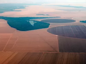 O desafio planetário da agricultura em tempos de aquecimento global