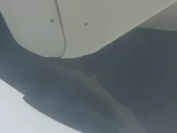 Vídeo mostra gelo em asa de avião antes de queda; torre e pilotos reportam