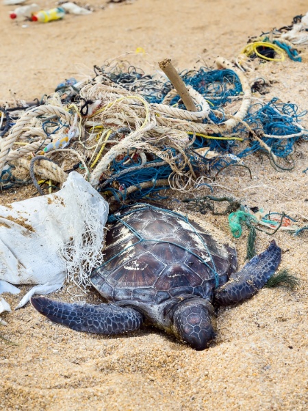 29.set.2016 - Pedaços grandes de plástico como redes de pescar são perigosos e estrangulam animais. Mas por ser pequeno, o microplástico pode ser engolido por um número muito maior de bichos - iStock