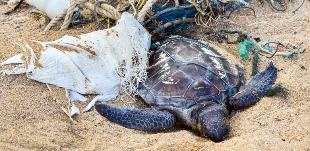 Sabia Que Lavar Um Casaco Aumenta A Poluição De Plástico No Mar Entenda Notícias Meio Ambiente