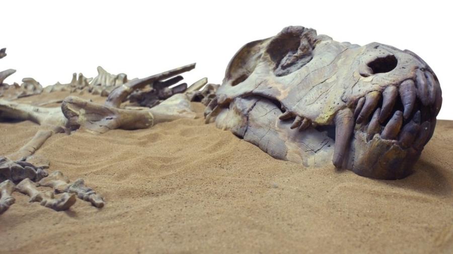 Os dinossauros foram extintos há cerca de 66 milhões de anos ? mas há vários outros animais que já desapareceram da face da Terra de uma forma menos "dramática" - Getty Images