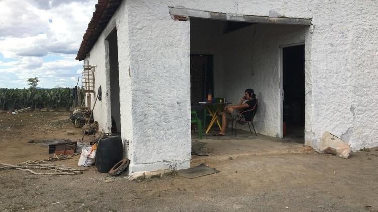 Dois imigrantes chineses foram encontrados em fazenda com centenas de jumentos em estado de maus-tratos em 2019 - Patricia Tatemoto - Patricia Tatemoto