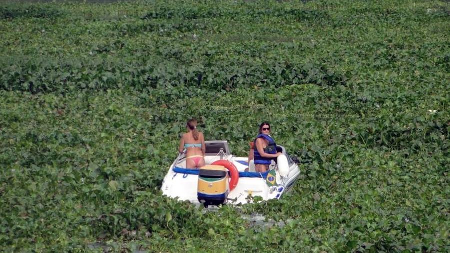 Barco com duas ocupantes chegou a ficar preso em meio ao aguapé na região de Barra Bonita - Hélio Palmezan/ONG Mãe Natureza
