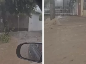 Três pessoas e um cachorro morrem em Bauru após forte chuva e ventania