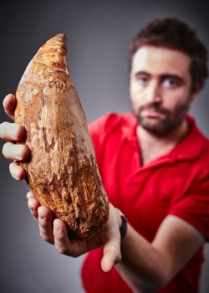 O dente fossilizado mede 30 cm e teria 5 milhões de anos - Museum Victoria/AFP