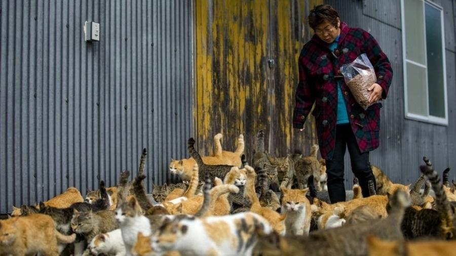 Gatos se aglomeram ao redor de moradora da ilha de Aoshima, no Japão - Thomas Peter/Reuters