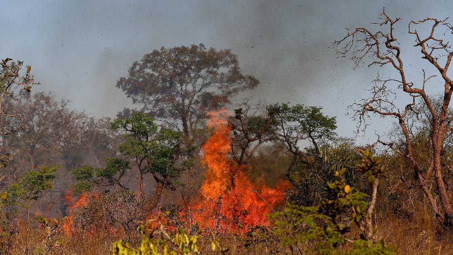 Foto de arquivo mostra incêndio de grandes proporções no Parque Nacional de Brasília - Pedro Ladeira/Folhapress