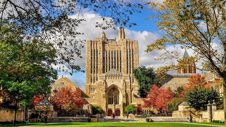 Universidade de Yale oferece bolsas para curso de verão - Divulgação