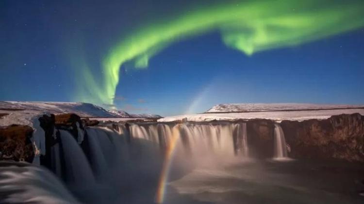 Amazing - MAURO TRONTO / NATURE TTL - MAURO TRONTO / NATURE TTL