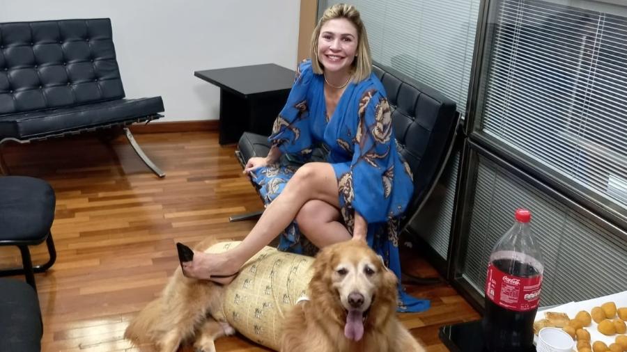 15.mar.2023 - Andreia Rolim Rios, esposa de Átila Jacomussi (Solidariedade), com Jack, cachorro da família, na posse da Alesp - Reprodução