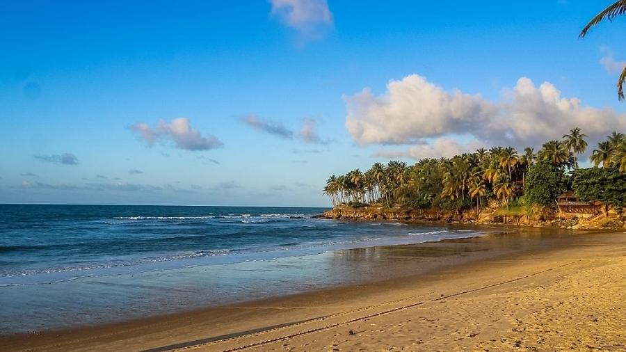 Ferimentos de águas-vivas foram registrados em banhistas de praia da Taíba, no Ceará [Imagem de arquivo] - Isaqui costa gomes/Creative Commons