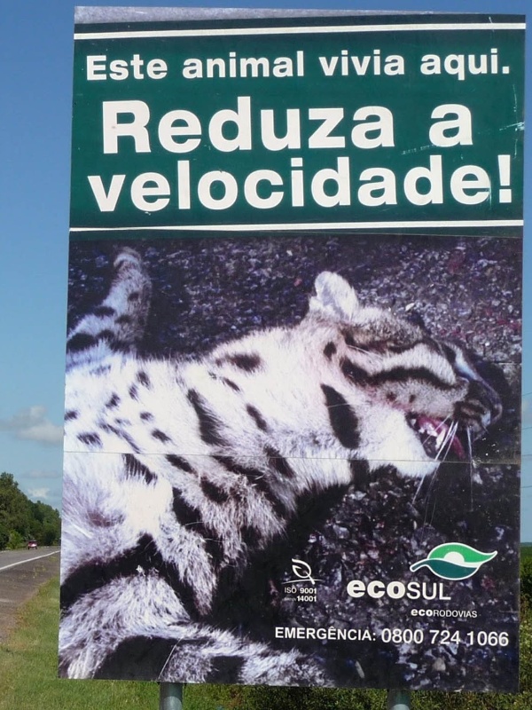 Ecosul/Divulgação