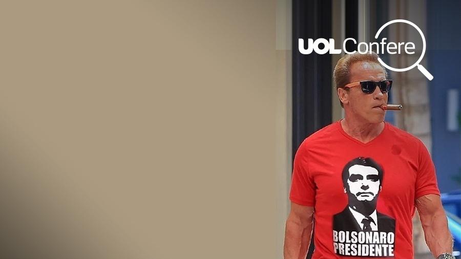 Foto de Arnold Schwarzenegger com camiseta de Bolsonaro é montagem - UOL confere
