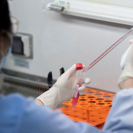 Imagem meramente ilustrativa - Autoridades sanitárias japonesas estão tentando isolar uma nova variante do coronavírus - Reprodução/Reuters