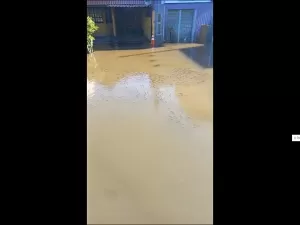 Peixes 'invadem' ruas de Canoas após chuvas e enchentes no RS; veja vídeo