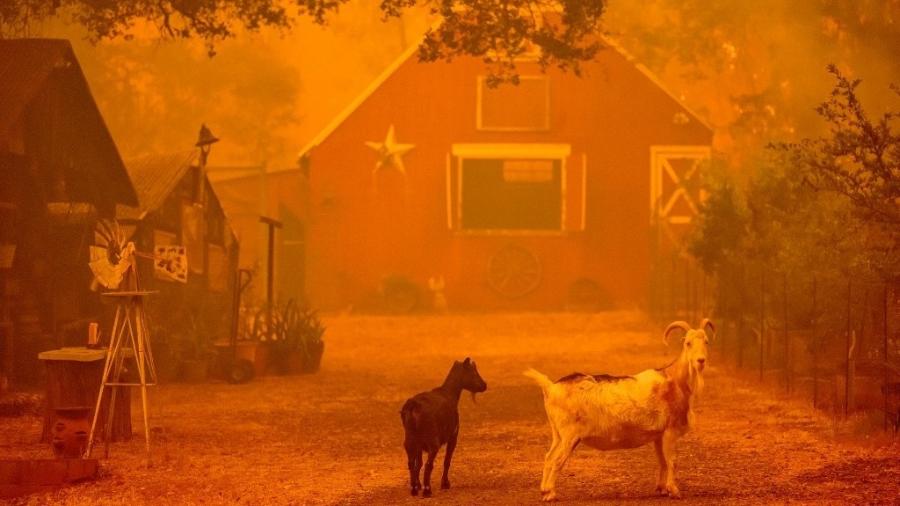 Chamas se aproximam de uma casa durante o incêndio em Thompson, Oroville, na Califórnia, nos EUA