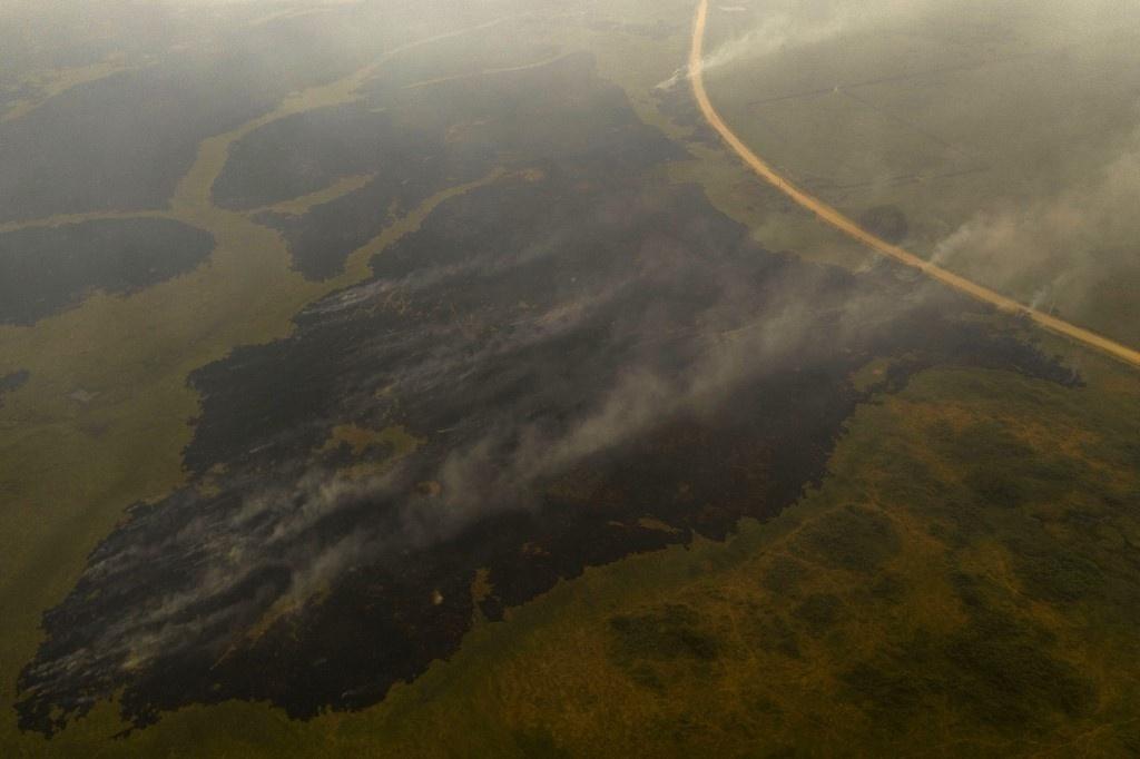 Images show fire in the Pantanal region, devastated by the fires that occurred in September 2020 - Mauro Pimentel / AFP