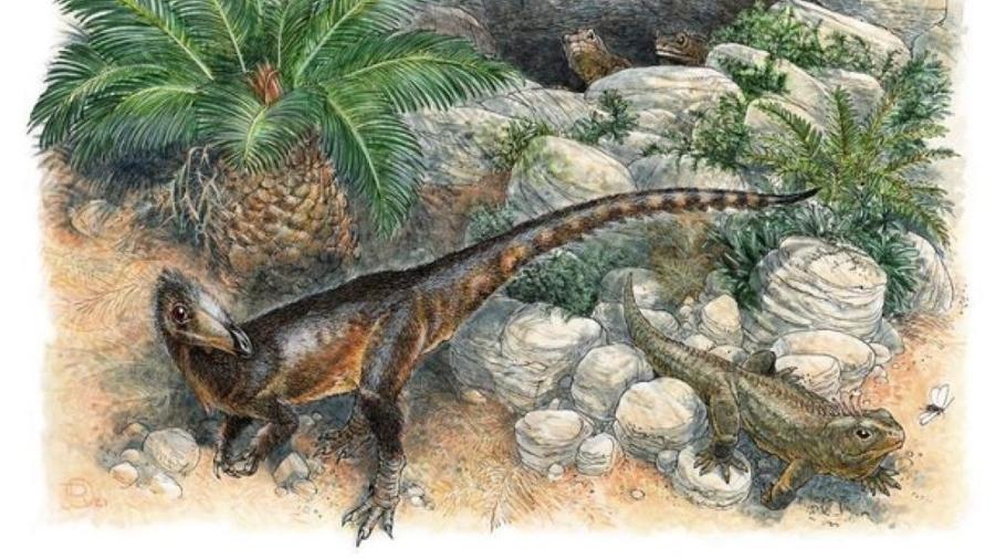 Dinossauro "Dragão Chefe" seria primo do T-Rex e era do tamanho de uma galinha - Divulgação: James Robbins / PA Wire