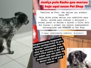 Dona fecha pet shop onde cadela morreu enforcada: 'Sei da minha culpa'