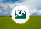 USDA